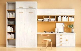 COMPOSICION CON CAMA ABATIBLE EXPLORA 37 ̈