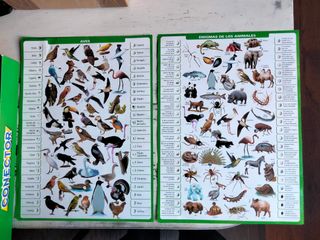 Juego Educativo Mundo Animal Conector