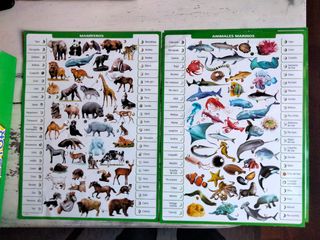 Juego Educativo Mundo Animal Conector