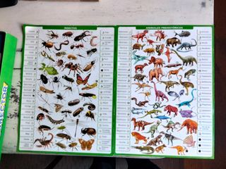 Juego Educativo Mundo Animal Conector