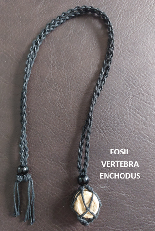 Collar Fósil Autentico, Arte Prehistórico, Amuleto