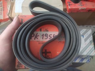 Alfa Romeo 145/146/155/GTV916 cinghia servizi