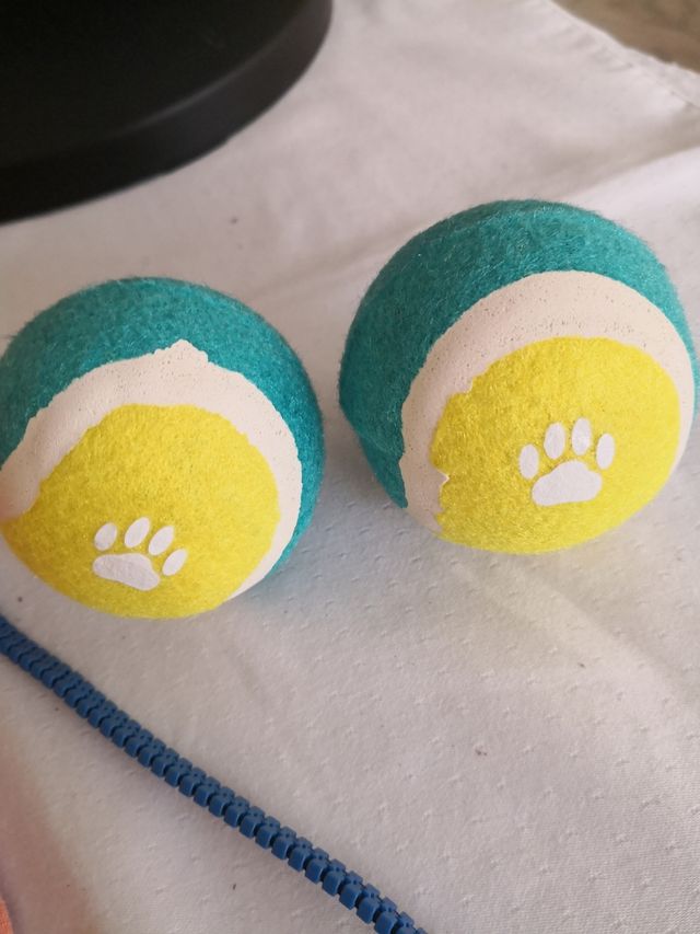 2 pelotas para mascotas con huella