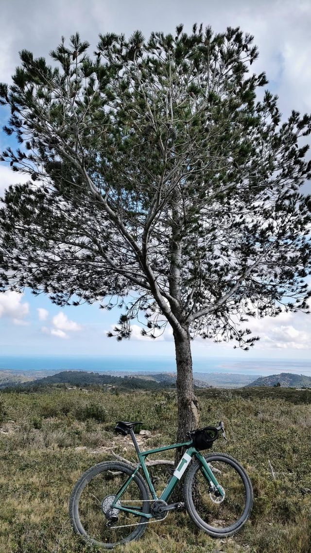 3T Exploro Gravel Bike