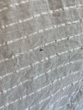 Cortinas Ikea Matilda (4 unidades)