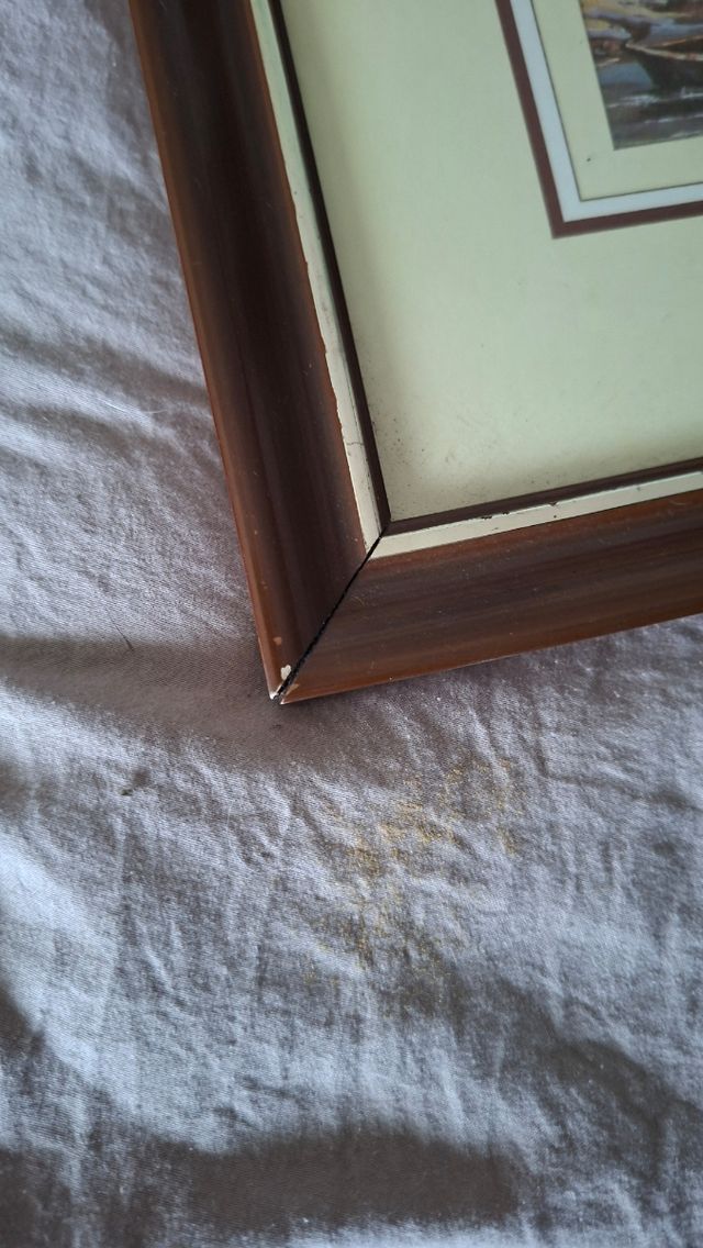 2 Antiche Tele Paesaggi