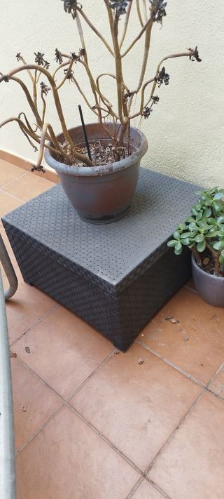 Conjunto de jardín resina grafito