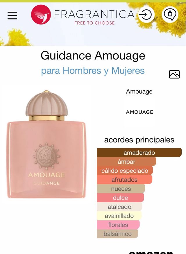 Amouage Guidance