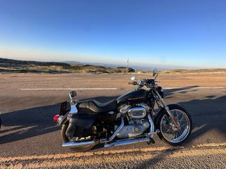 Harley Davidson soortster 883 Custom 