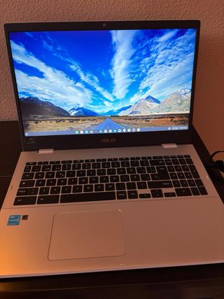 Portátil ASUS Chromebook Gris Plata