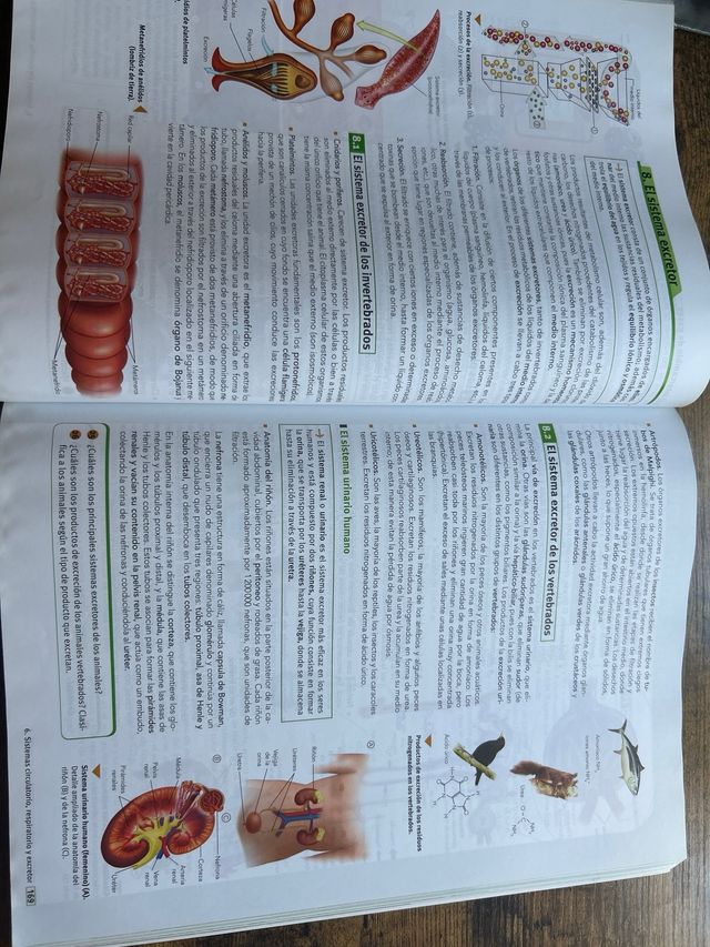 Código Bruño Biología y Geología 1 Bachillerato