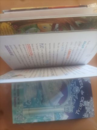 Lote libros Gerónimo Stilton.