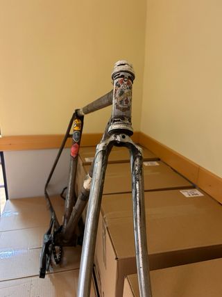 Cuadro Fixie/Ciudad Completo talla s