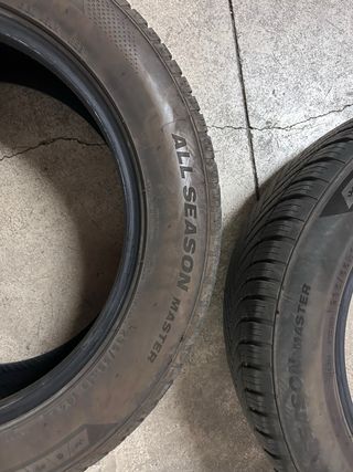 Ruedas Minerva 235/55R18 104V