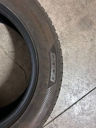 Ruedas Minerva 235/55R18 104V