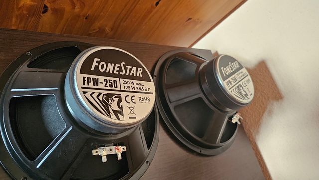 Altavoces Fonestar FPW-250 10 250W