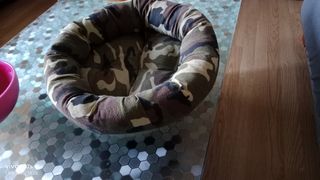 Cama para mascotas con estampado de camuflaje