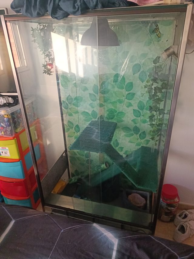 Terrario con accesorios