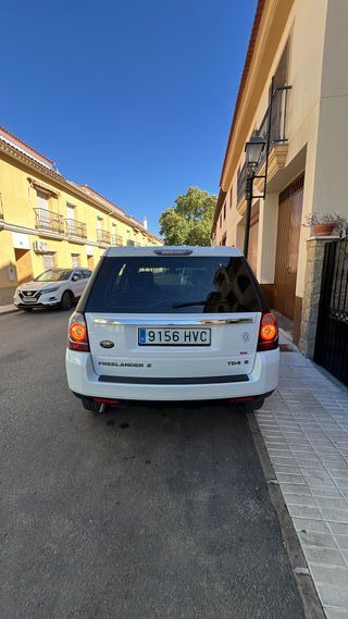 LAND-ROVER Freelander 2.2 Td4 S StopStar 150cv 4x4