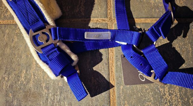 CABEZADA DE DAR CUERDA + RAMAL LARGO ENVIO 24h