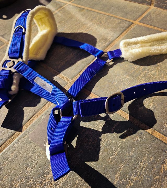 CABEZADA DE DAR CUERDA + RAMAL LARGO ENVIO 24h