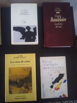 Libros (Robbe-Grillet, Wolfe, Ackroyd, Pessoa,...)