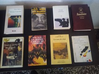 Libros (Robbe-Grillet, Wolfe, Ackroyd, Pessoa,...)