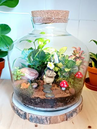 Restauración de terrarios