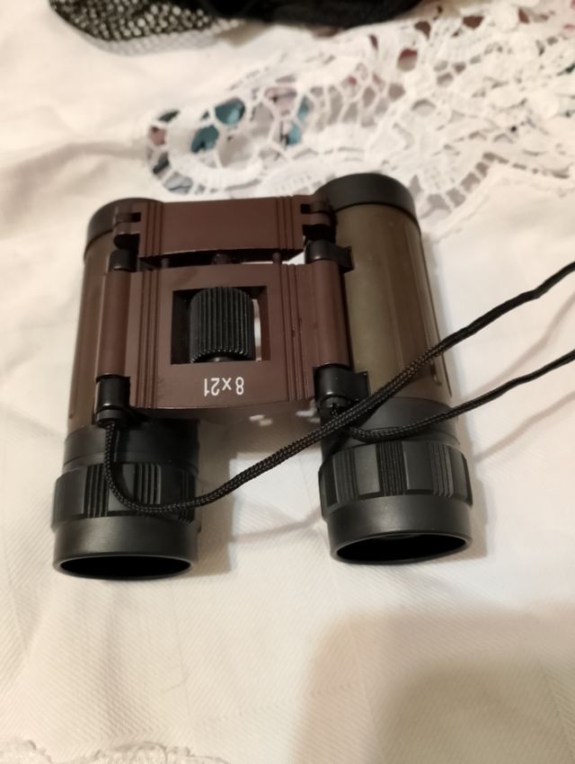 Binocolo 8x21