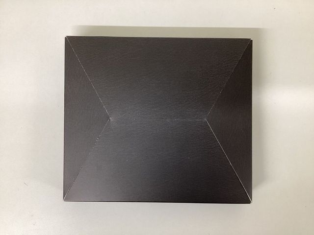 S.T.A.R.S. Resident Evil Edicion especial E Capcom