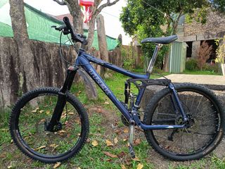Trek Remedy