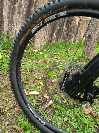 Trek Remedy