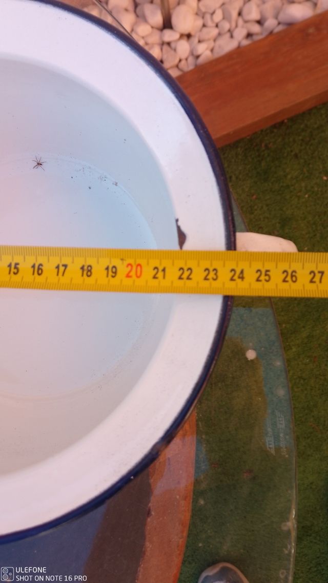 Lote 2 orinales antiguos esmaltados