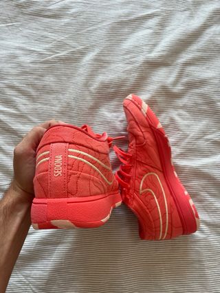 Zapatillas Baloncesto Coral
Devin Book 1