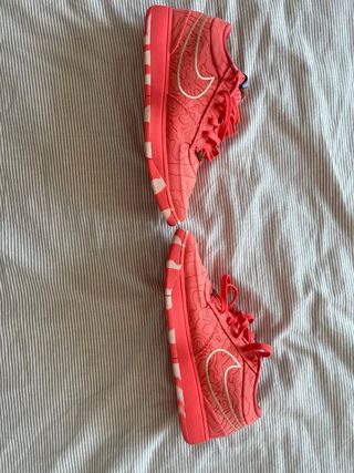 Zapatillas Baloncesto Coral
Devin Book 1