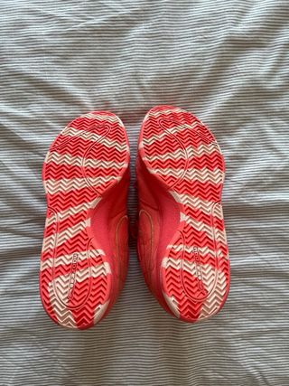 Zapatillas Baloncesto Coral
Devin Book 1