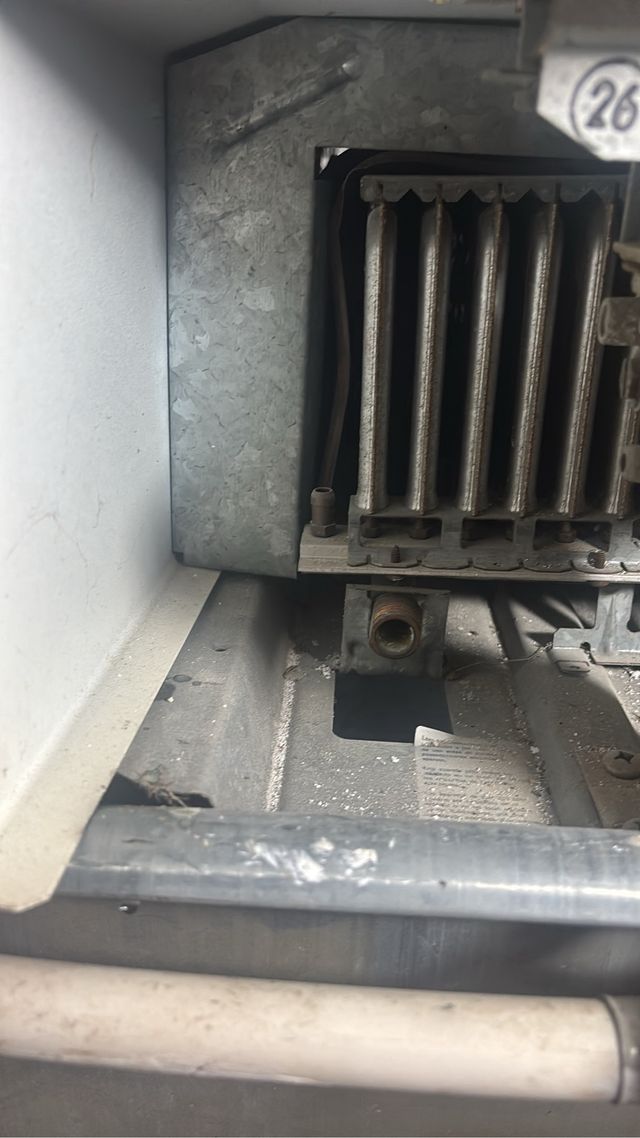 Calentador de agua a gas Nekar blanco