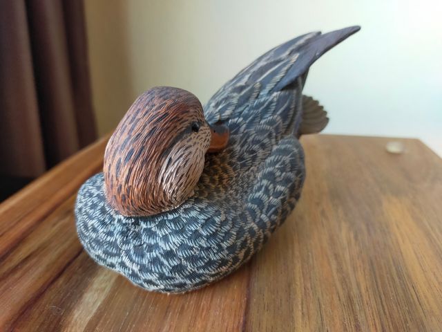 Figura Pato Roger Desjardins, Canadá