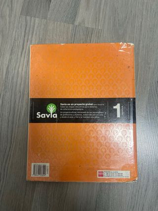 Economía. 1 Bachillerato. Savia (Spanish Edition)