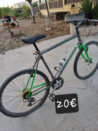 Bicicleta de montaña plateada