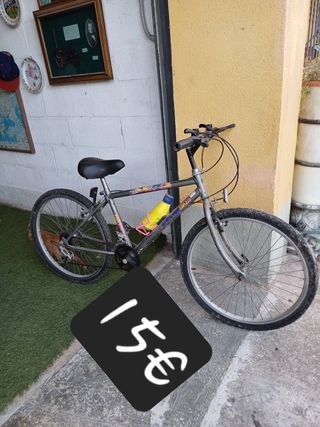 Bicicleta de montaña plateada