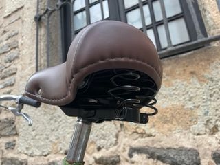 Bicicleta clásica de paseo