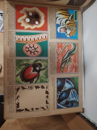 Álbum Maga Zoología y Botánica 1969