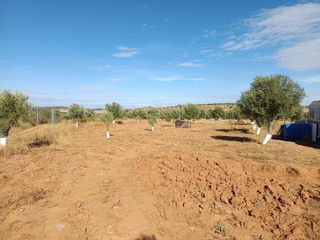 Terreno con Caravana en Valdaracete (Madrid)