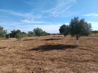 Terreno con Caravana en Valdaracete (Madrid)