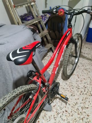 Bicicleta de montaña