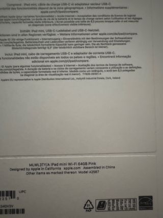 iPad mini 6a generazione Silver