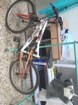Bicicleta ROMESTER