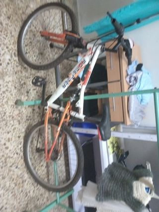 Bicicleta ROMESTER