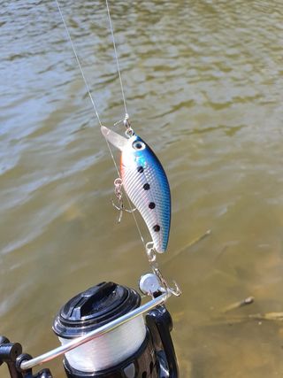 Equipo Spinning, Caña, Carrete, Equipo Pesca 